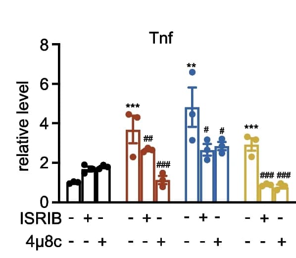 Open access visualization of Bar Plot, Error Bars, Tnf mRNA, NRCMs, TKIs