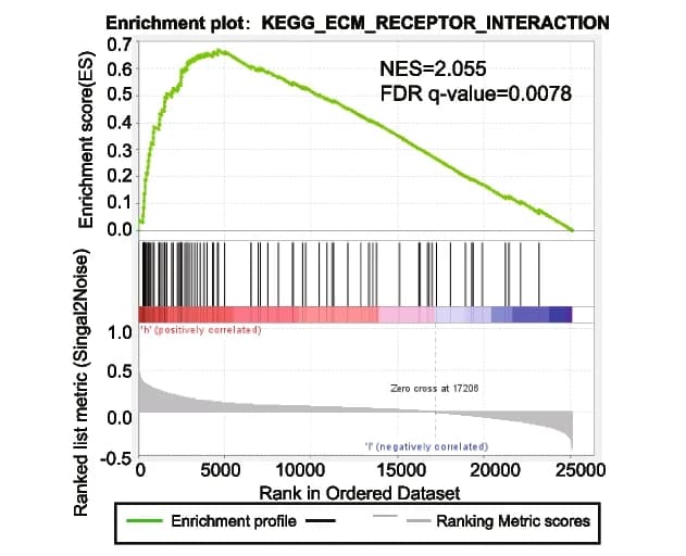 Open access visualization of Line Plot, Density Plot, Gene Set Enrichment Analysis, Gene Expression Profiling, Gastric Cancer