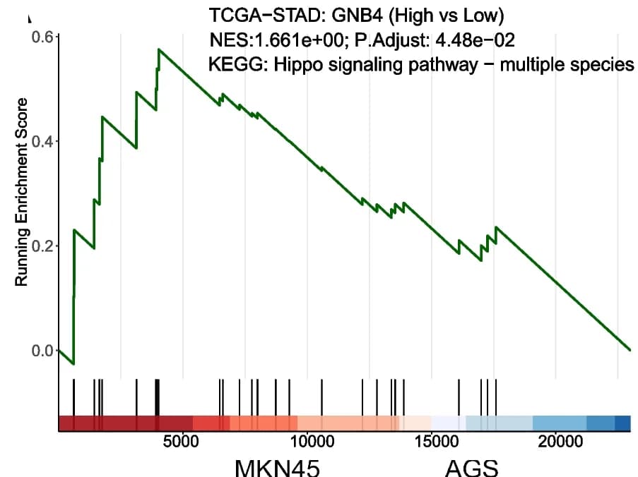 Open access visualization of Line Plot, Line Step, GNB4, GC, TCGA database
