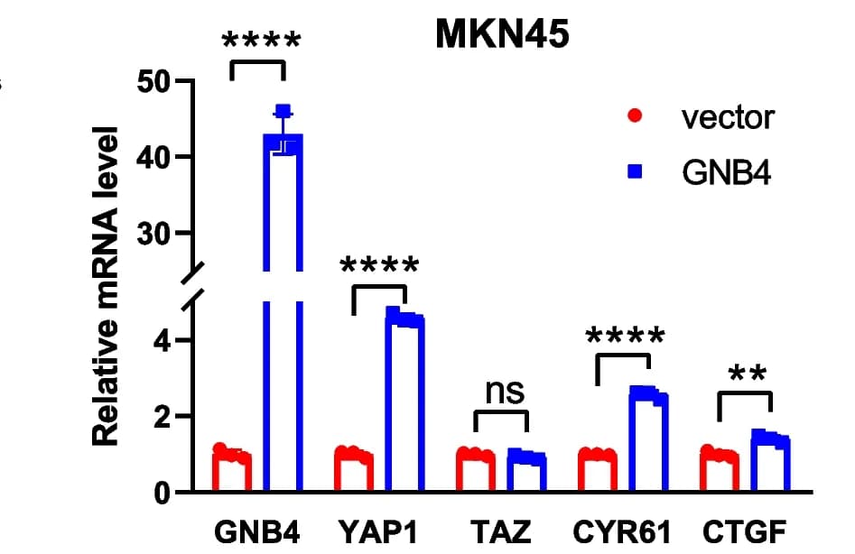 Open access visualization of Bar Plot, Error Bars, Clustered, qRT-PCR, GNB4