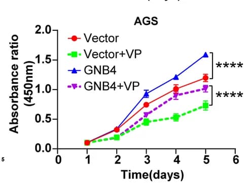 Open access visualization of Line Plot, Error Bars, AGS Cells, Verteporfin, GNB4 Overexpression