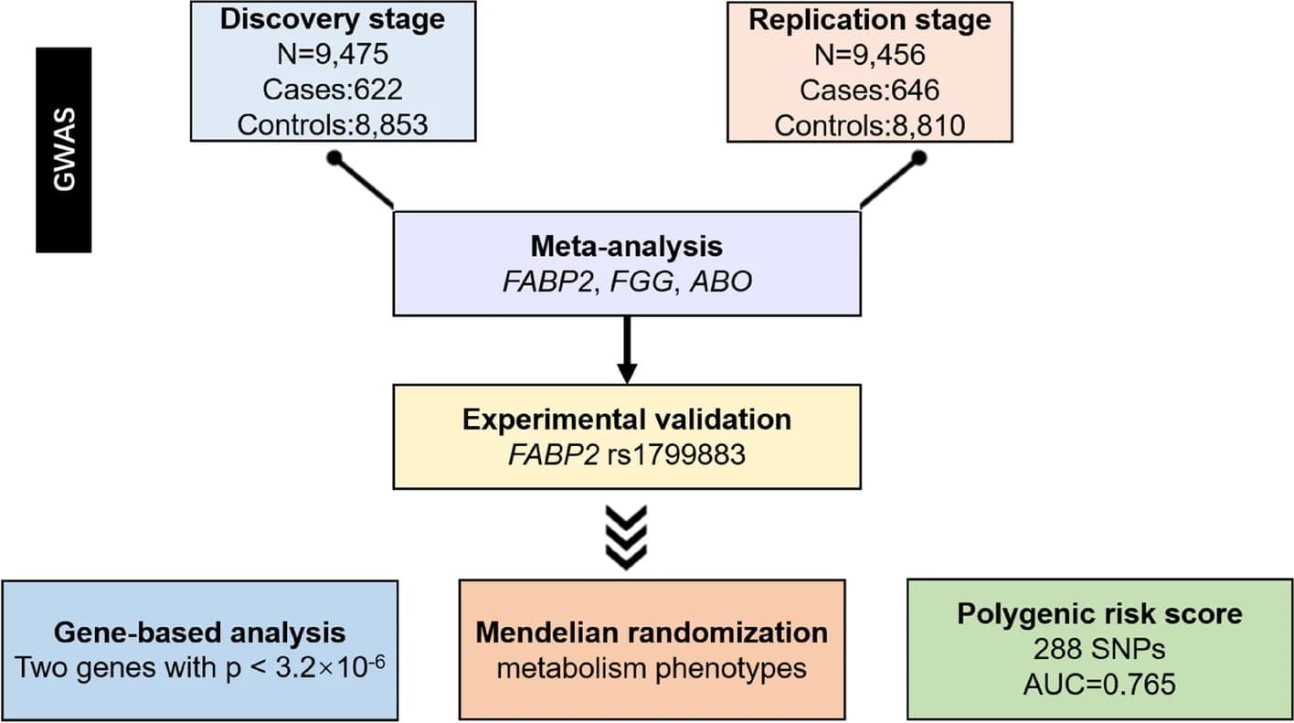 Open access visualization of Workflow, Flowchart, Study Workflow