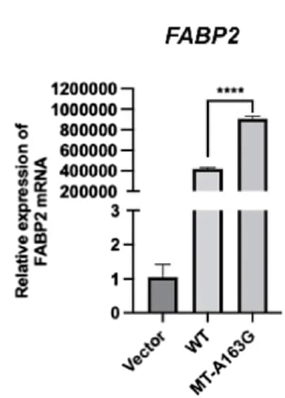 Open access visualization of Bar Plot, Error Bars, qPCR, Transcription, FABP2