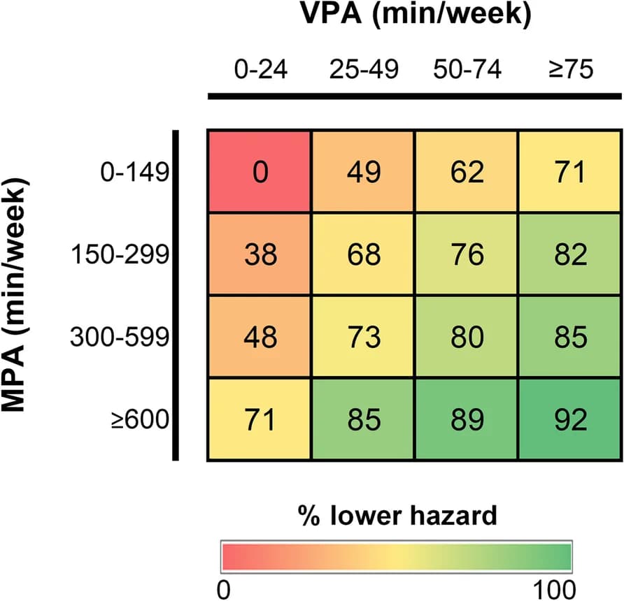 Open access visualization of Heatmap, MPA, VPA, Type 2 Diabetes, Cox Regression