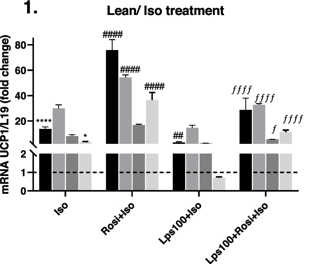 Open access visualization of Bar Plot, Error Bars, Clustered, Endotoxin, LPS