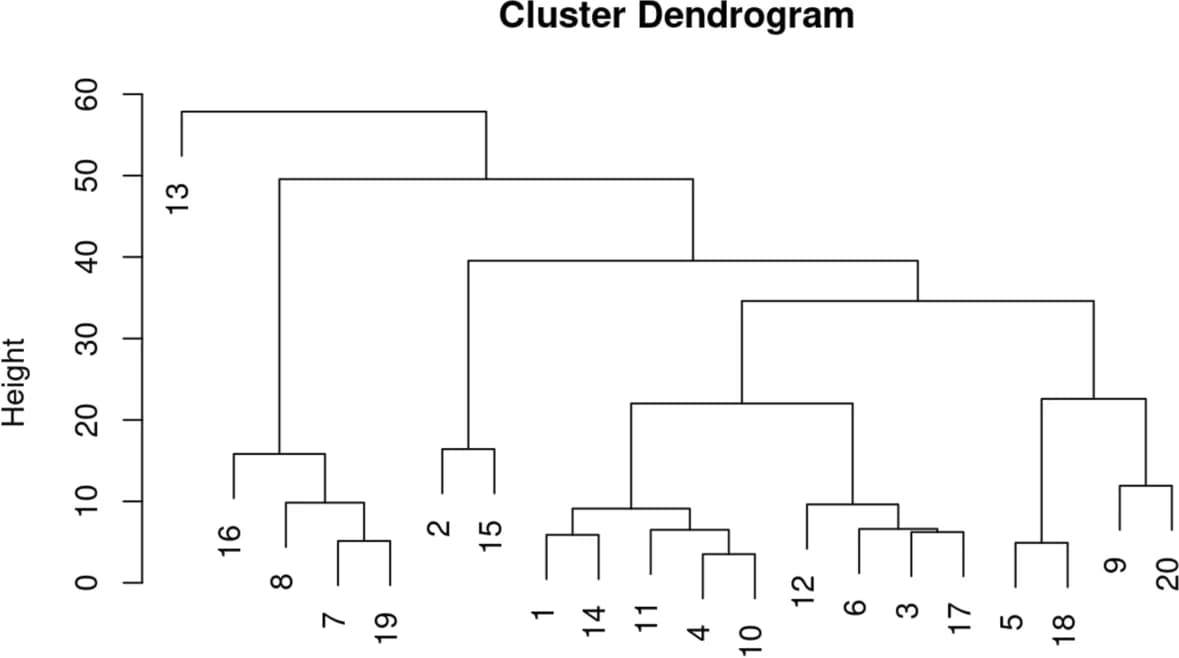 Open access visualization of Network, Hierarchical Clustering, Dendrogram