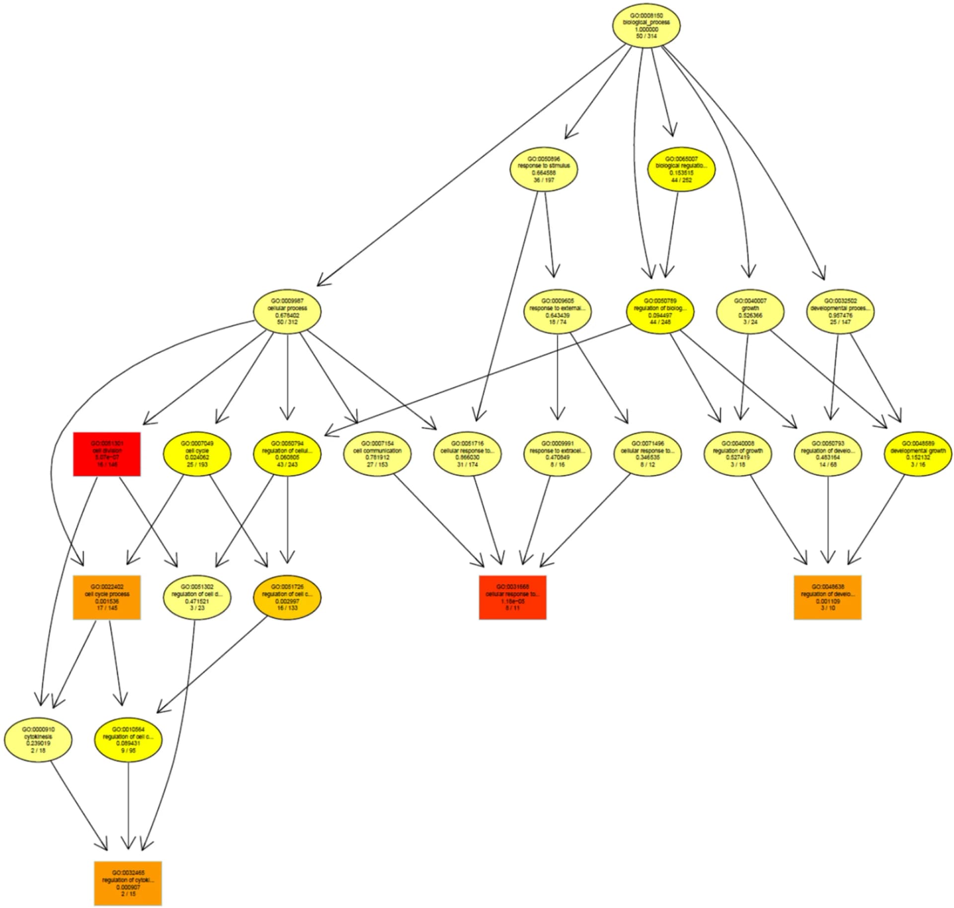 Open access visualization of Pathway, Gene Ontology, GO Terms, Enrichment, Biological Processes