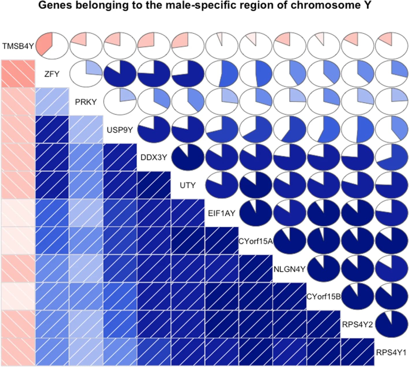 Open access visualization of Heatmap, Pie Chart, Correlogram, Male-Specific Genes, Log-Counts-Per-Million