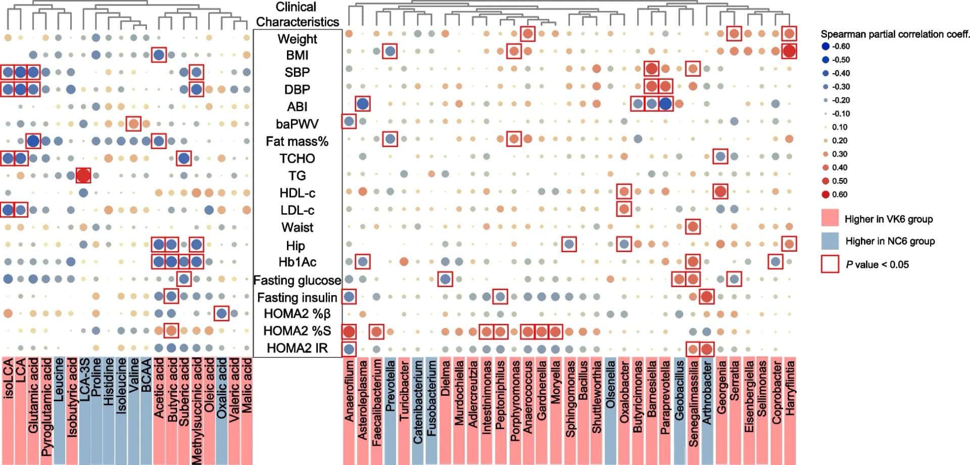 Open access visualization of Scatter Plot, Heatmap, Clustered, Spearman's Rank Correlation, Clinical Characteristics