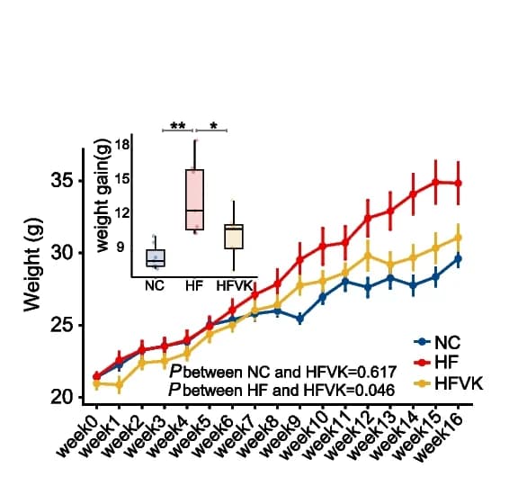 Open access visualization of Line Plot, Error Bars, Box Plot, Weight gain, Donor mice