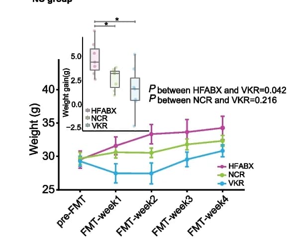 Open access visualization of Line Plot, Error Bars, Box Plot, Weight gain, FMT