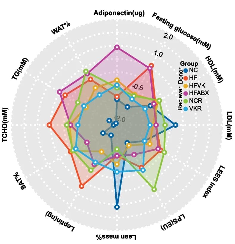 Open access visualization of Radar Chart, Biochemical indicators, Z-scores, Donor mice, Receiver mice