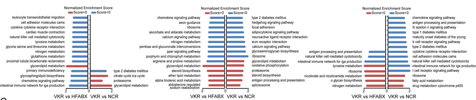 Open access visualization of Bar Plot, KEGG Pathways, MK-7, Microbiota, Gene Set Enrichment Analysis