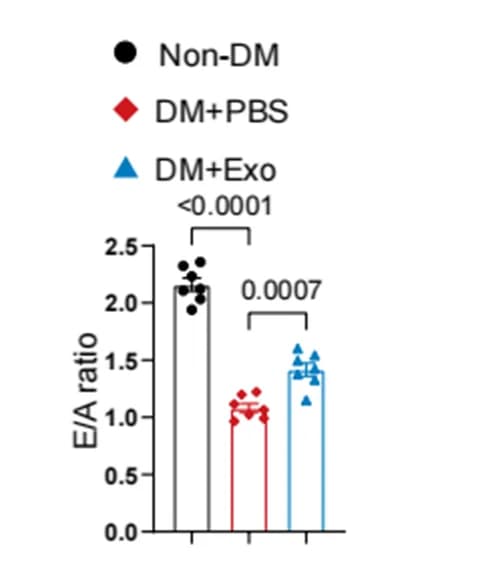 Open access visualization of Bar Plot, Scatter Plot, Error Bars, E/A Ratio, Cardiac Function