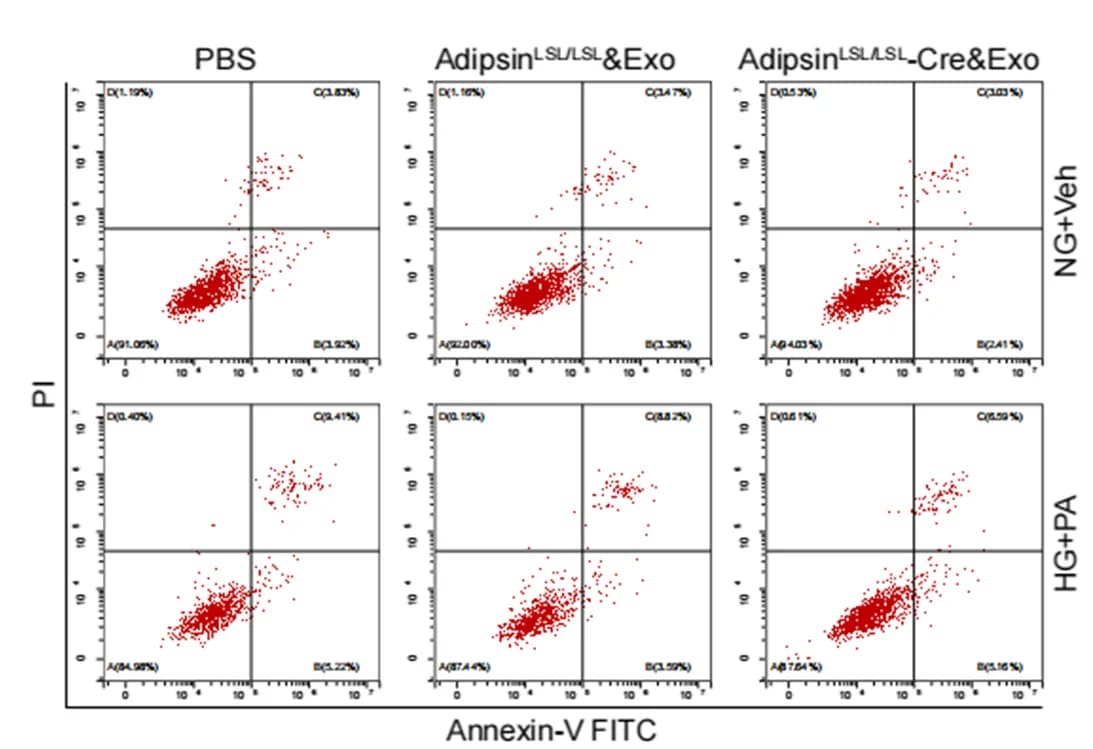 Open access visualization of Scatter Plot, Apoptosis, CMECs, Dot plots