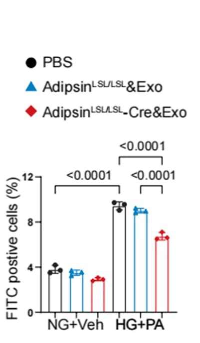 Open access visualization of Bar Plot, Error Bars, Clustered, Annexin V-FITC, Apoptosis