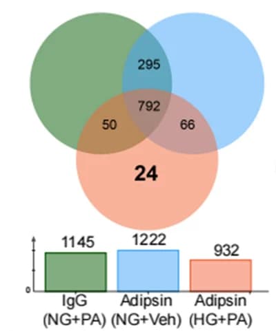 Open access visualization of Venn Diagram, Bar Plot, Protein Candidates, Adipsin