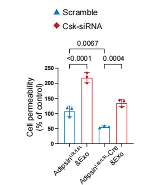 Open access visualization of Bar Plot, Error Bars, FITC-conjugated Dextran, Cellular Permeability, Monolayer