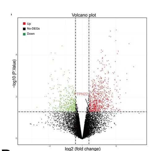 Open access visualization of Volcano Plot, Transcriptome Sequencing, PTPN22, CAVD Tissue