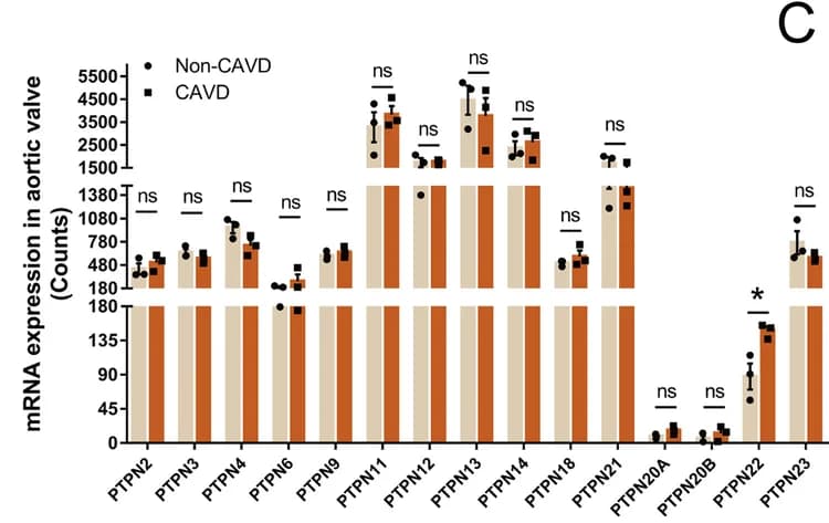 Open access visualization of Bar Plot, Error Bars, Clustered, Volcano Plot, Transcriptome Sequencing