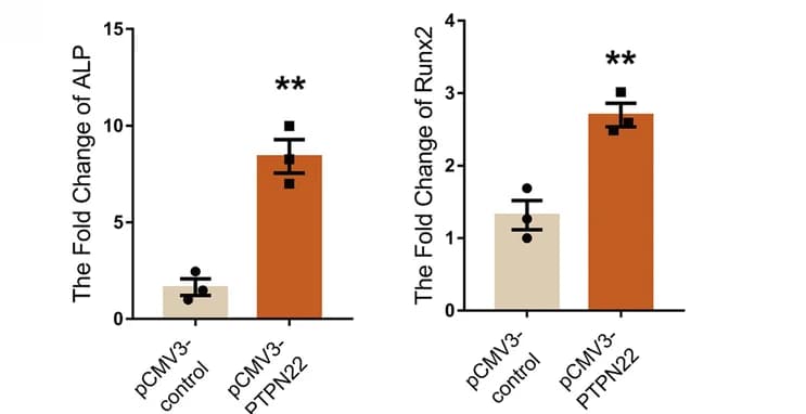Open access visualization of Bar Plot, Error Bars, AVICs, PTPN22, ALP