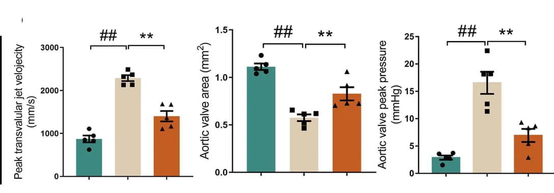 Open access visualization of Bar Plot, Error Bars, Aortic Valve, Peak Pressure, AVA
