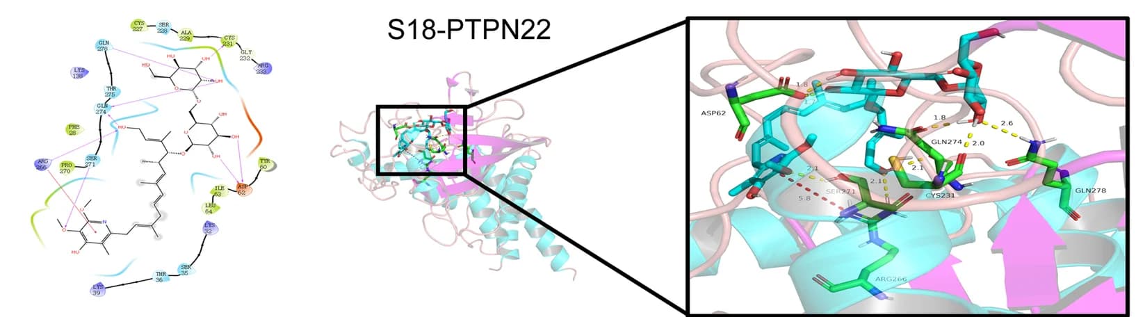 Open access visualization of Protein Structure, Chemical Structure, Docking Mode, S18, PTPN22