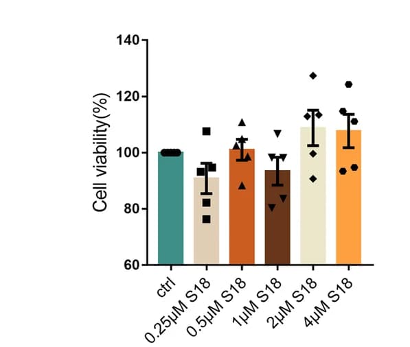 Open access visualization of Bar Plot, Error Bars, Cell Viability, Human AVICs, S18