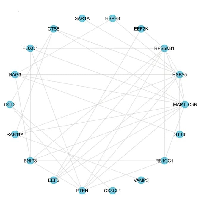 Open access visualization of Network, Pathway, PPI, Autophagy-related genes