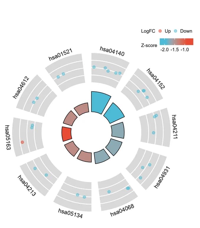Open access visualization of Bar Plot, Scatter Plot, Clustered, KEGG analysis