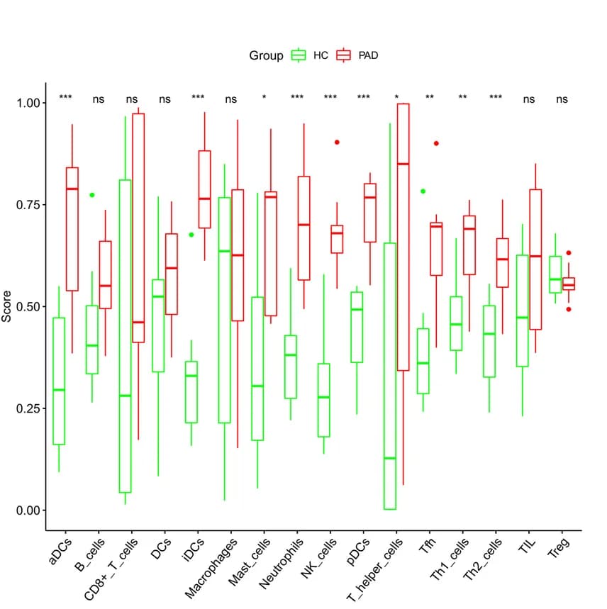 Open access visualization of Box Plot, Immune Infiltration Cells, Enrichment Scores, Boxplot