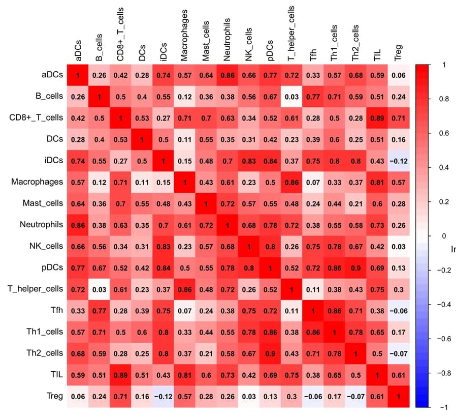 Open access visualization of Heatmap, ssGSEA Scores, Immune Cells, Correlation Matrix