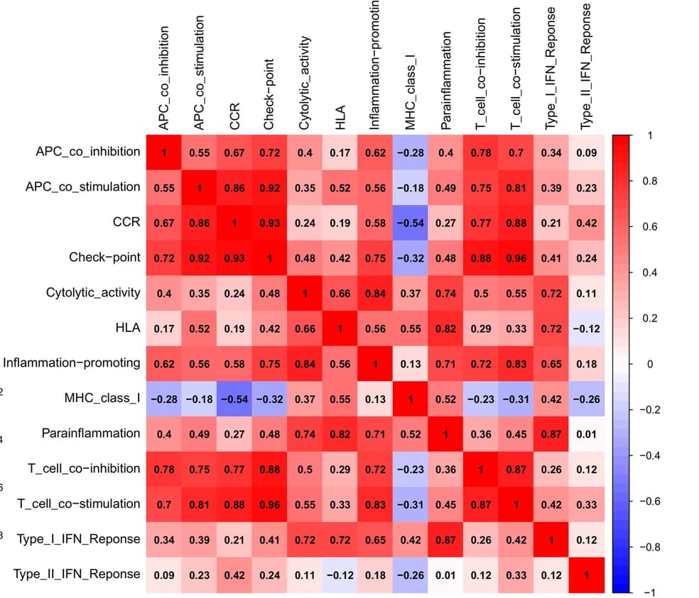Open access visualization of Heatmap, ssGSEA Scores, Immune-related Pathways, Correlation Matrix