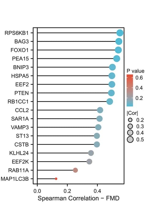 Open access visualization of Scatter Plot, Spearman Correlation, Autophagy-Related Genes, Chemokines, FMD