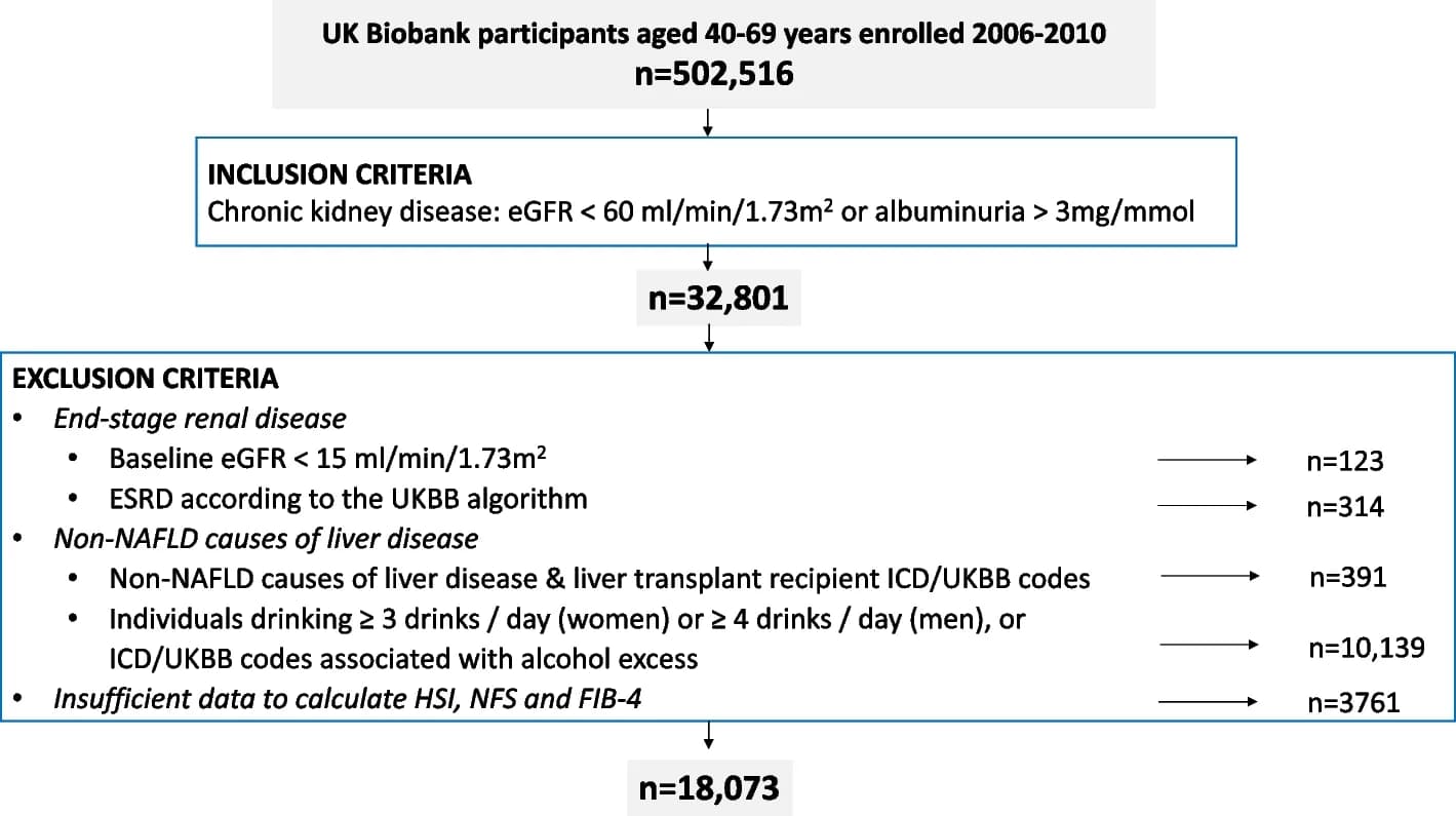 Open access visualization of Workflow, Flowchart, Participant Recruitment, Flow Chart