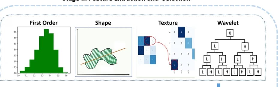 Open access visualization of Histogram, Illustration, Heatmap, Flowchart, Radiomic Features