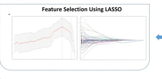 Open access visualization of Line Plot, Error Bars, Feature Selection, LASSO, Informative Features