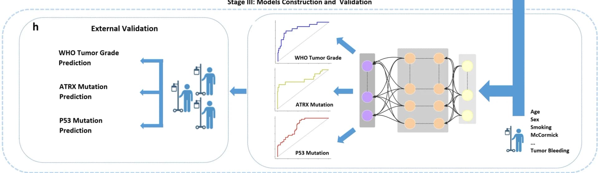 Open access visualization of Workflow, Line Plot, Clinical Features, Radiomic Features, Deep Neural Networks