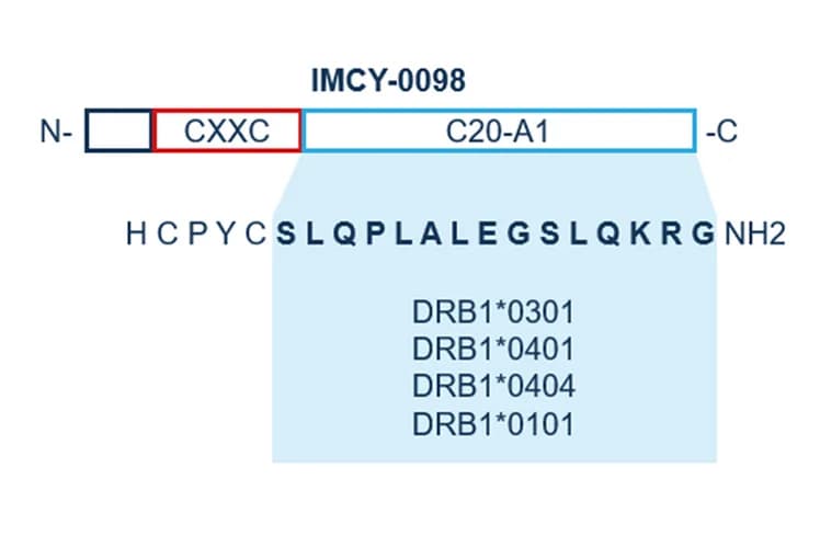 Open access visualization of Illustration, IMCY-0098 Structure, HLA Class II Epitopes, IMCY-009 Sequence, Proinsulin