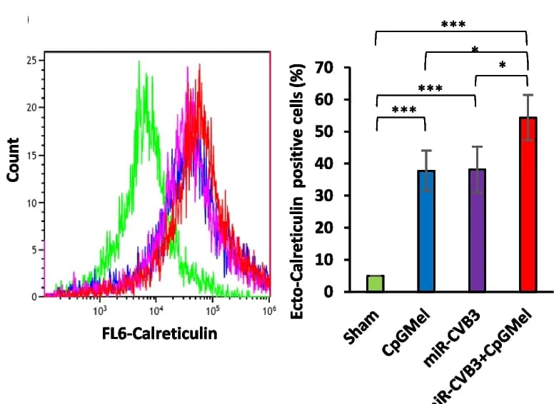 Open access visualization of Histogram, Bar Plot, Error Bars, Calreticulin, Flow Cytometry