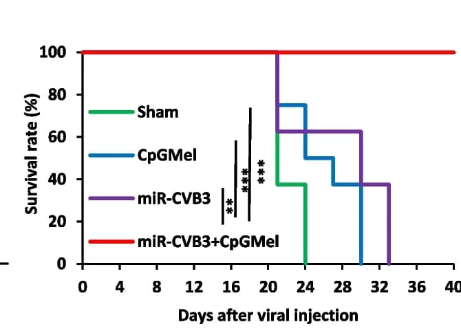 Open access visualization of Survival Curve, Line Step, Survival curves, Animal treatment