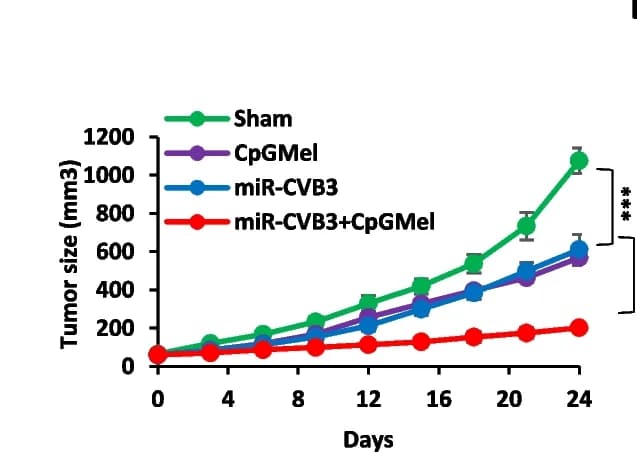 Open access visualization of Line Plot, Error Bars, Tumor Size, Tumor