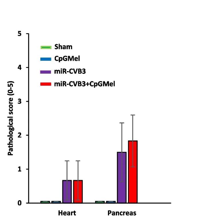 Open access visualization of Bar Plot, Error Bars, Clustered, Pathological Scores, H&E staining