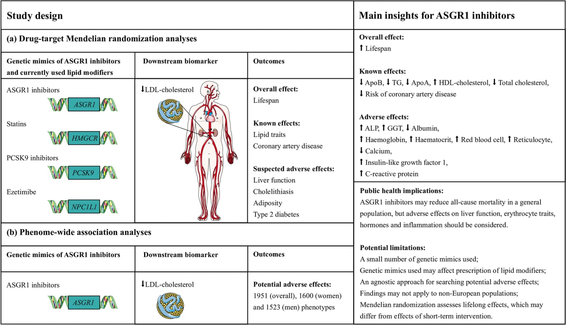 Open access visualization of Workflow, Illustration, Flowchart, Alkaline Phosphatase, Apolipoprotein A