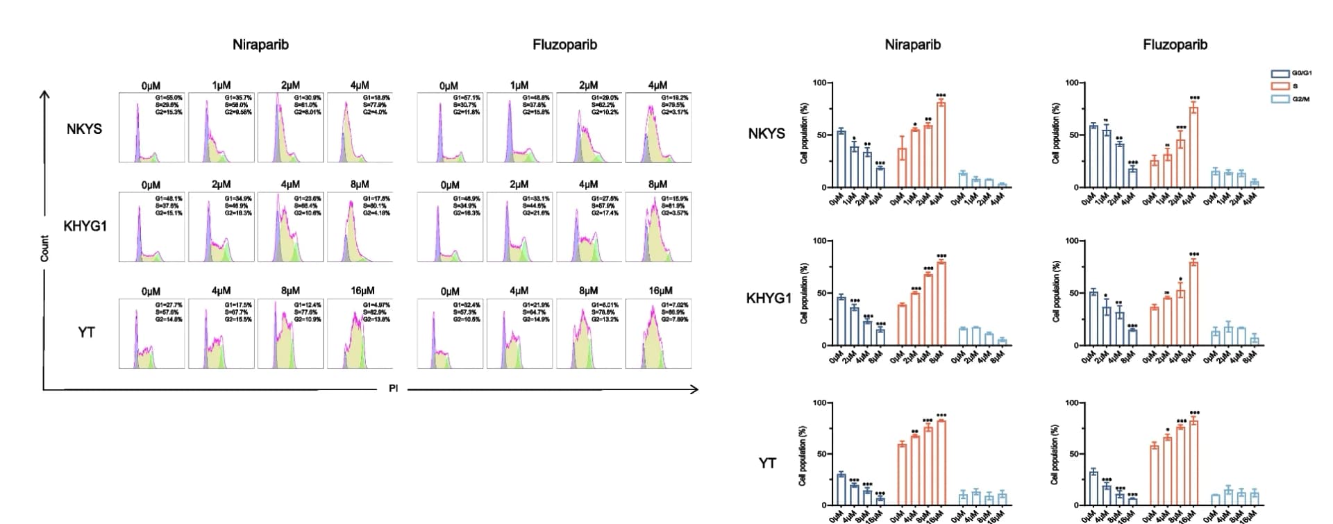 Open access visualization of Bar Plot, Error Bars, Histogram, Cell Cycle Assays, NKTCL Cells