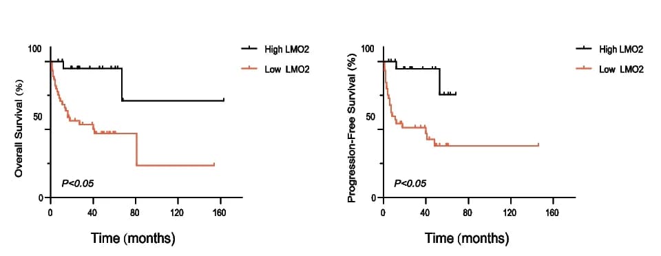 Open access visualization of Survival Curve, Kaplan-Meier Curves, Progression-Free Survival, Overall Survival, Natural Killer/T-Cell Lymphoma