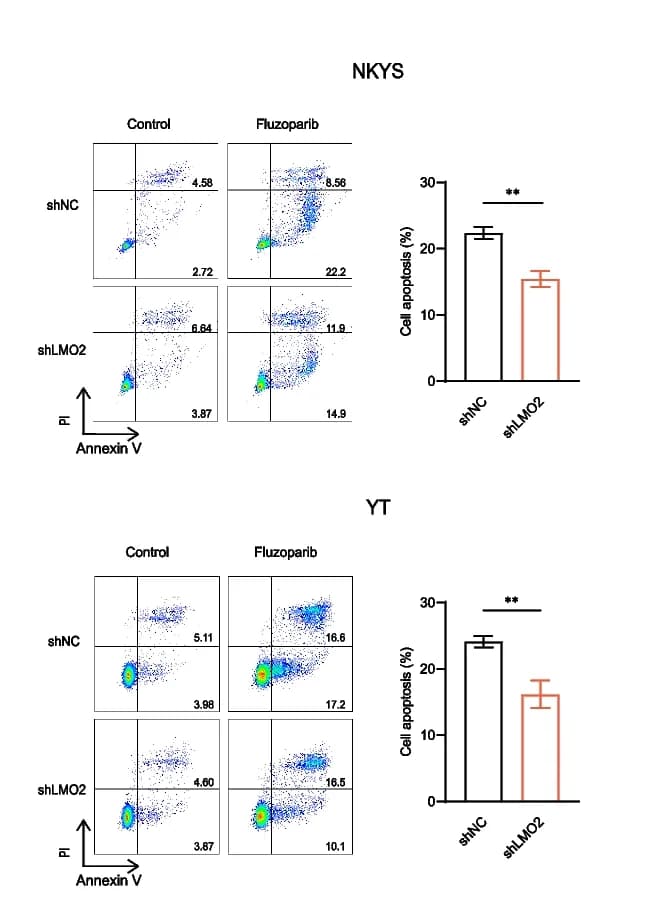 Open access visualization of Scatter Plot, Bar Plot, Error Bars, Apoptosis Assays, shNC