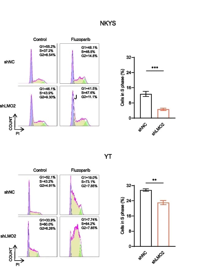 Open access visualization of Bar Plot, Error Bars, Cell Cycle Assays, shNC, shLMO2