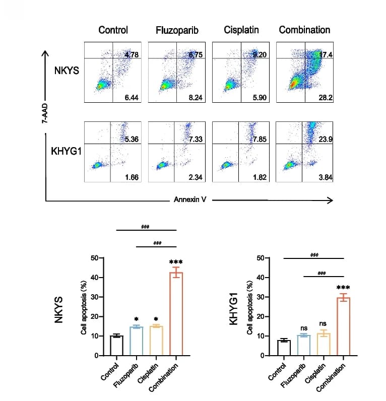 Open access visualization of Scatter Plot, Bar Plot, Error Bars, Apoptosis, NKYS Cells