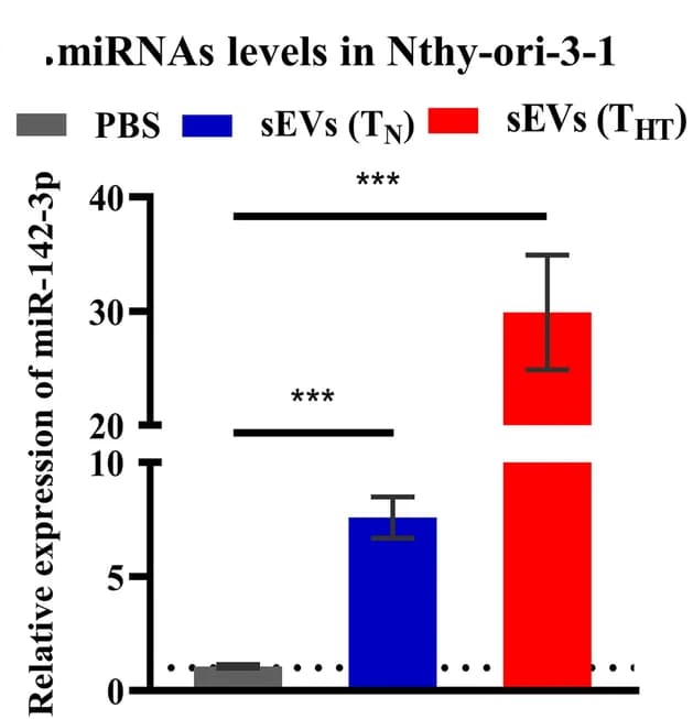 Open access visualization of Bar Plot, Error Bars, miR-142-3p, Thyrocyte Cells, sEVs
